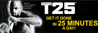 focus t25 rip d circuit