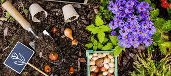 Protect Your Springtime Bulbs And