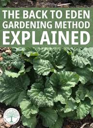 The Back To Eden Gardening Method