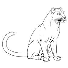 Black panther is the melanistic color variant of any big cat species. 10 Printable Panther Coloring Pages Your Toddler Will Love