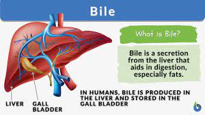 bile definition and exles