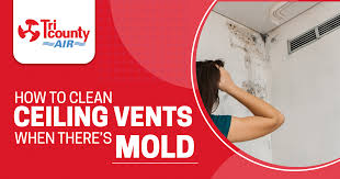 clean ceiling vents when there s mold