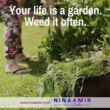 What Weeds Need Pulling In The Garden