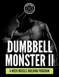 the dumbbell only workout plan pdf
