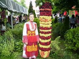 Кметът на кюстендил петър паунов се включи в седмицата на дарик, за да разкаже за десетото издание на празника на черешата. Praznik Na Chereshata Bratbg