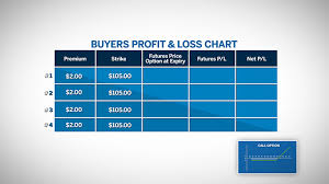 Understanding Options Expiration Profit And Loss