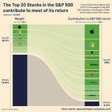 20 stocks have driven s p 500 returns