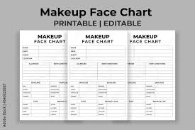makeup face chart stock vector adobe