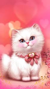 very beautiful cute cat cute cat love