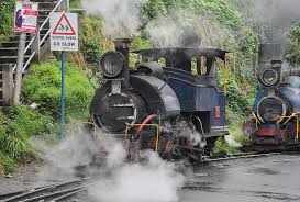 File:Darjeeling Himalayan Railway,toy train (3).jpg - Wikimedia Commons