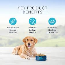 While evermore benefits all dogs, its unique properties of being gently cooked and comprised of clean, detoxifying ingredients make it ideal for older dogs, as. Blue Buffalo Chicken Brown Rice Dog Food Blue Life Protection Petsmart