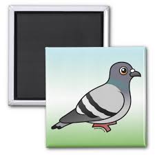 customizable rock pigeon square magnet