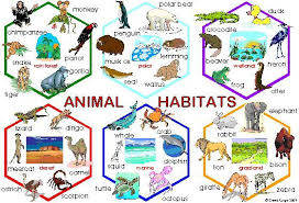 Biology Anchor Charts Understanding Life Systems Habitats