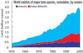 How To Save The Worlds Oceans From Overfishing