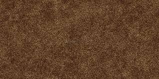 prestige carpet