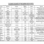 Organic Chemistry Reactions Poster Study Guide For College
