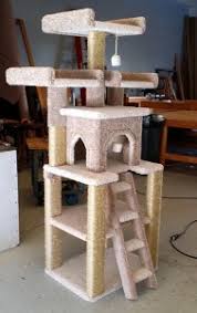 Her mother, the deputy, cinderflight, and her father, a former kittypet and now a great warrior, whitetail, have two kits, cloudheart and nightfrost. Custom Cat Trees Playtimeworkshop