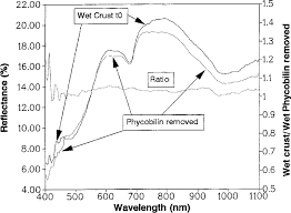 Spectra Of Wetted Cyanobacteria Crust Phycobilin Extracted