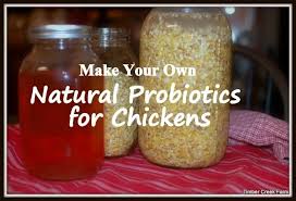 natural probiotics for ens