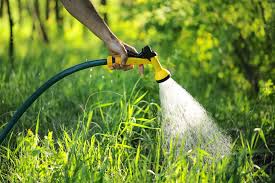 best garden hose water filter 2021