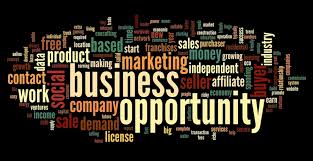 Image result for business opportunities
