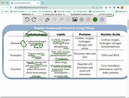 proteins nucleic acids lipids