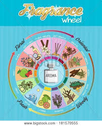 Aromatic Guide Wheel Vector Photo Free Trial Bigstock