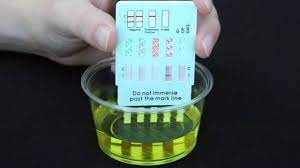 easy home test dip cards you