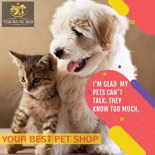 Read more about pet and dog training. Dog Shop Near Me Price Cheap Online