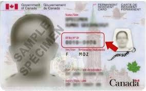 canada s permanent residents fear