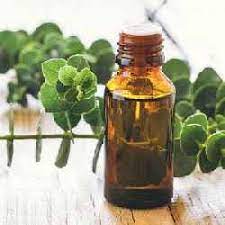 Eucalyptus Oil Manufacturers - Eucalyptus Oil Wholesalers Suppliers Traders  in India