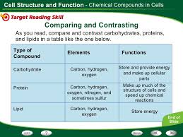 Compare The Chemical Structure And Functions Of