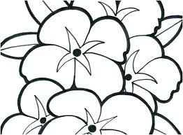 Printable Coloring Pages Flowers Free Poppy Flower Coloring Pages