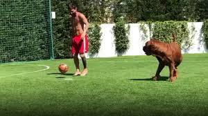 We did not find results for: Messi Has A Kickabout With His Dog Bbc News