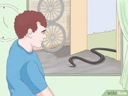 3 Ways To Get Rid Of Snakes Wikihow
