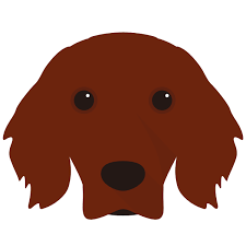 personalised irish setter yappy com