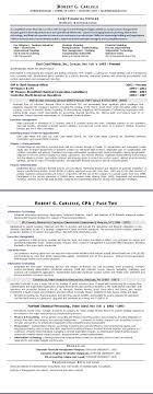 Employment Resume Examples   Resume Examples And Free Resume Builder 