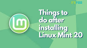 after installing linux mint 20