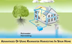 rainwater harvesting solutions at your