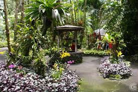 hawaiian tropical botanical garden in