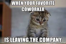 15 relatable boss memes powertofly office manager meme you ever. 35 Coworker Memes To Send To Your Work Bestie Fairygodboss