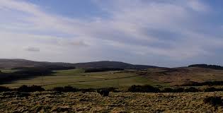 Image result for cairn mon earn