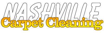 carpet cleaners nashville rugs