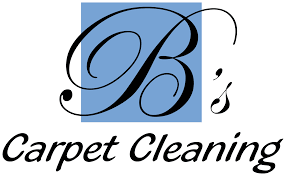 professional carpet cleaning in st