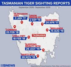At least eight sightings of tasmanian tigers have been reported recently, reviving speculation the mammal is not extinct, as scientists insist. Tasmanian Tiger New Report Lists Recent Sightings Of Extinct Thylacine