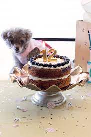 Blueberry Birthday Cake For Dogs gambar png