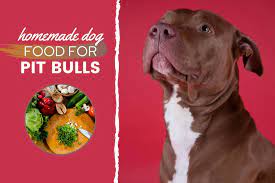 homemade dog food for pit bulls guide
