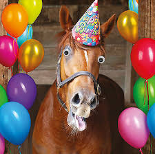 Die typische suche nach dem perfekten geschenk zum geburtstag. Geburtstagskarte Alles Gute Zum Geburtstag Lustig Tiere Wiehern Pferd Eur 11 88 Picclick De