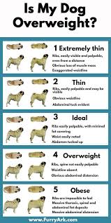 Overweight Dog Chart Goldenacresdogs Com