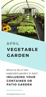 Vegetable Garden In April What To Do